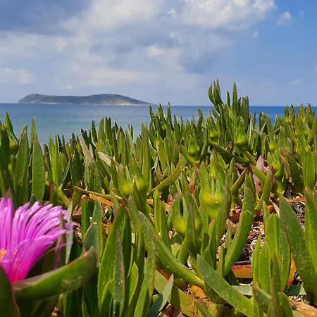 빌라 Beautiful Villa In Bodrum Guemuesluek For Families And Couples Bodrum