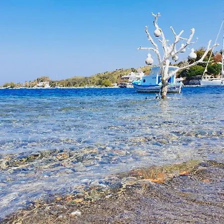 Beautiful Villa In Bodrum Guemuesluek For Families And Couples 빌라