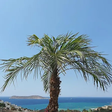 Beautiful Villa In Bodrum Guemuesluek For Families And Couples