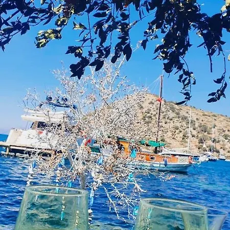 Beautiful Villa In Bodrum Guemuesluek For Families And Couples 빌라 *